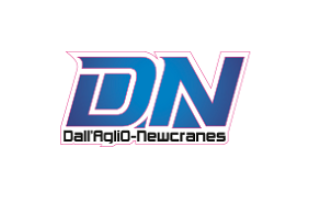 Logo DN Cranes